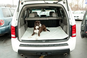 Bergan Cargo Comfort Dog Bed Liner for back of SUV, Ultra-soft Cargo Liner for Pets. Protects your cargo area from pet hair and dirt.