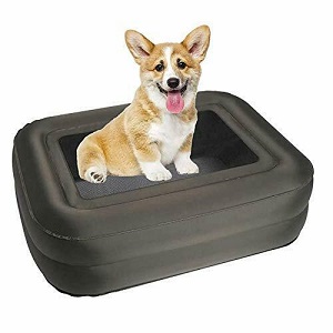Outdoor Inflatable Dog Bed for draft free elevated comfortable sleeping.