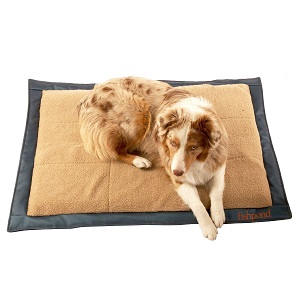 Fishpond Westwater Inflatable Portable Pet Bed