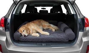 Floppy Ears Design Cargo Area Padded Liner