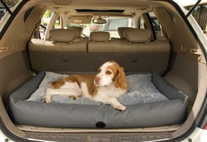K&H Manufacturing Dog Car Travel Bed / SUV Cargo Area Dog Bed comes in small and large sizes.
