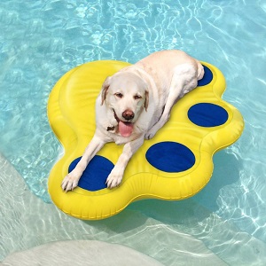 inflatable pool beds