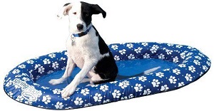 SwimWays Paddle Paws Inflatable Dog Pool Float, Small.