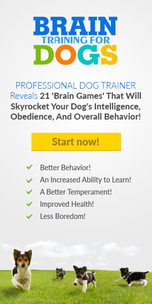 Great Dog Training Course that you can use at home to loving train your dog to be obedient and well behaved.