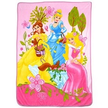 Girls Disney Princesses Microplush Twin-size Sherpa Throw Blanket.